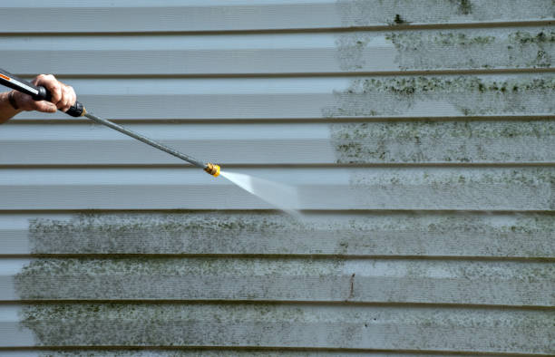 Best Fence Cleaning and Maintenance in Yorktown, TX